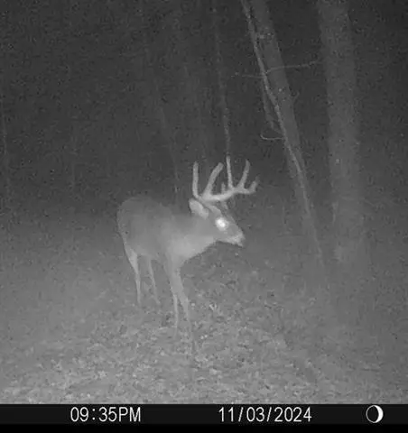 W7113 Leigh Road, Mauston, WI 53948