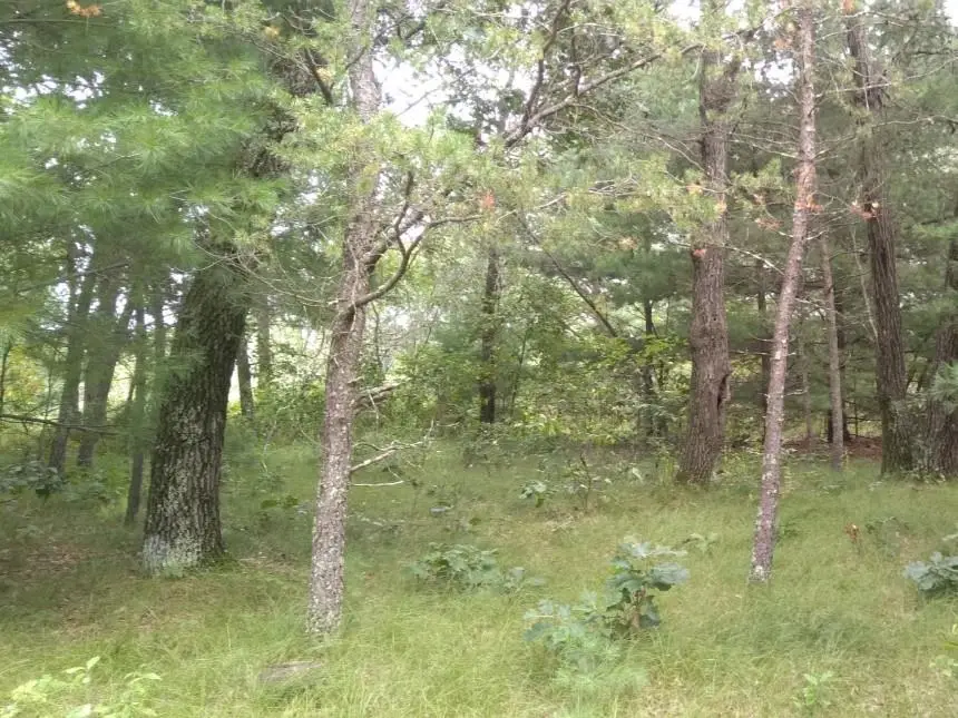 462 Duffers Trail, Nekoosa, WI 54457 - #1