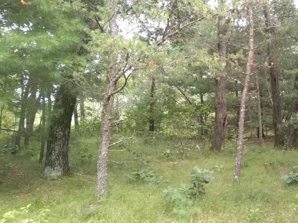 462 Duffers Trail, Nekoosa, WI 54457