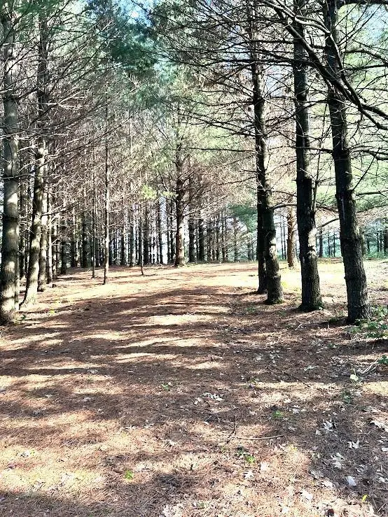 E4756 E Redstone Drive, La Valle, WI 53941 - #3