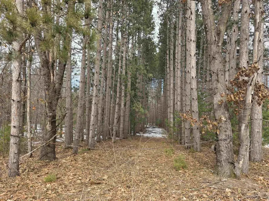 W2806 W Dees Road, Lyndon Station, WI 53944 - #2