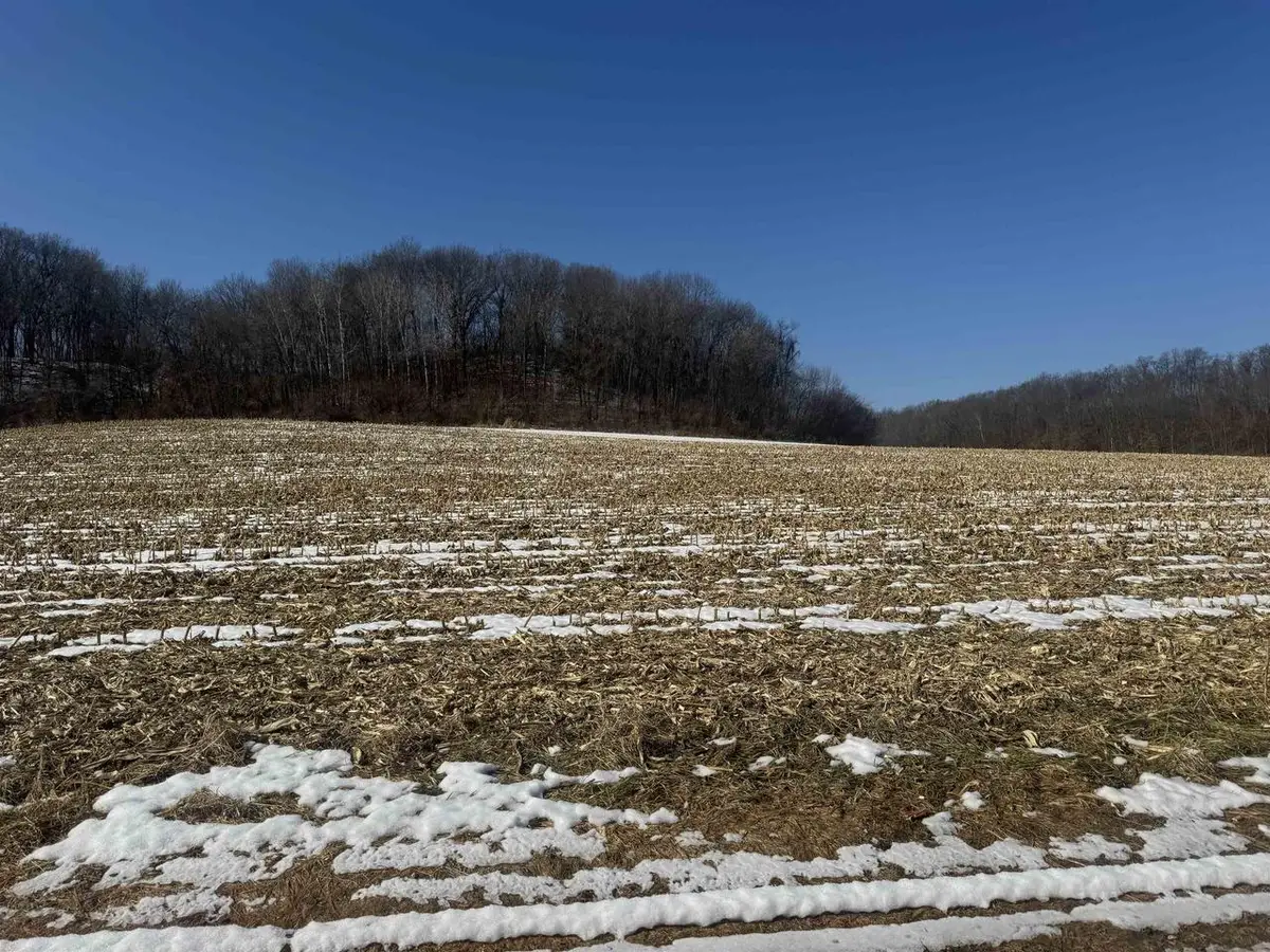 189.54 Acres Eli Valley Road, Loganville, WI 53943 - #1