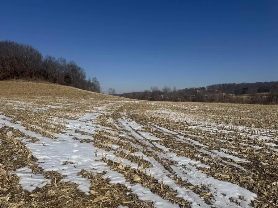 189.54 Acres Eli Valley Road, Loganville, WI 53943 - #3