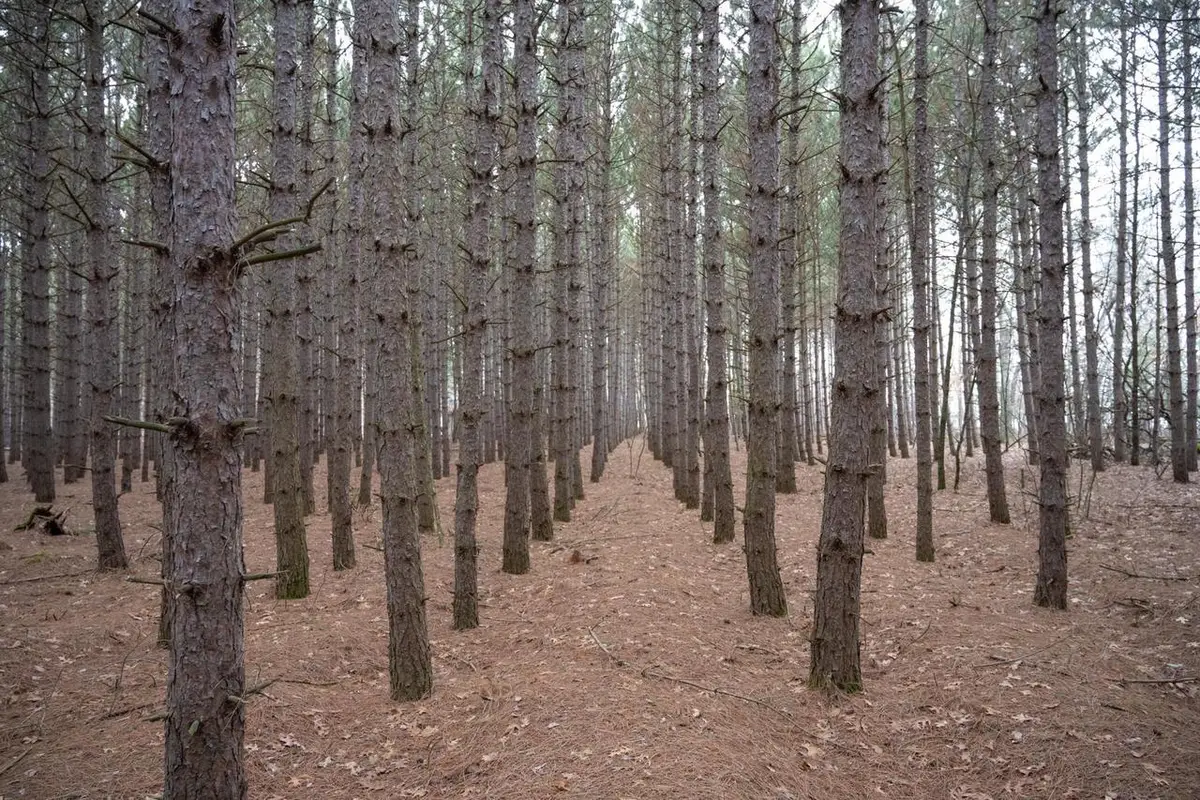 685 17th Drive, Arkdale, WI 54613 - #1