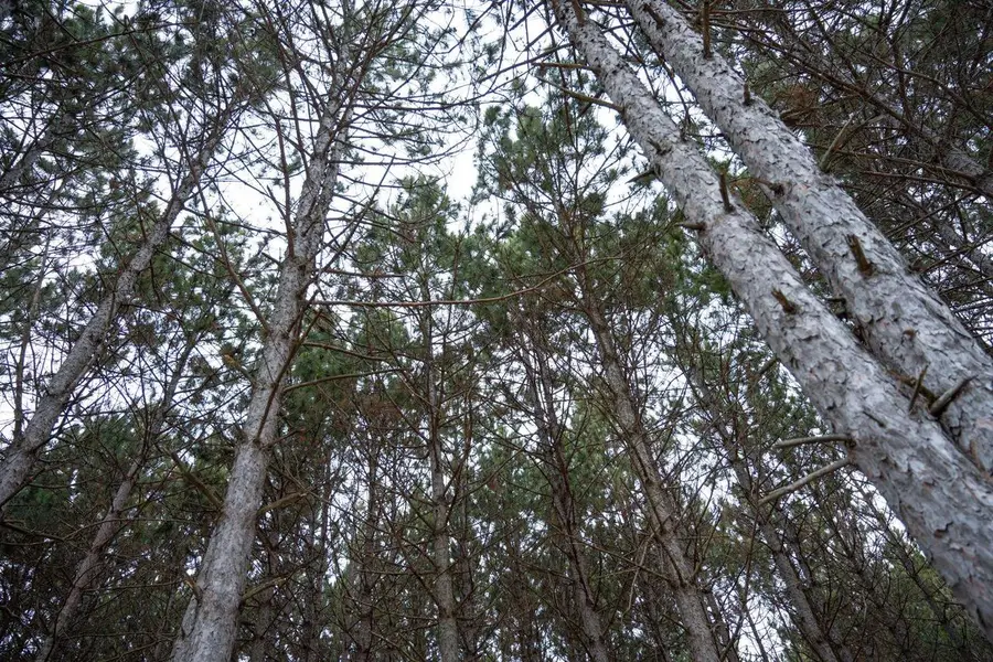 685 17th Drive, Arkdale, WI 54613 - #2