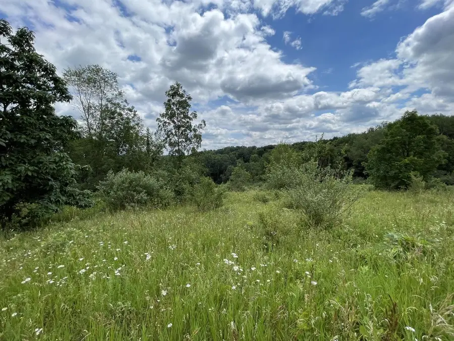 Lot 312 Cross Trail Drive, La Valle, WI 53941 - #2