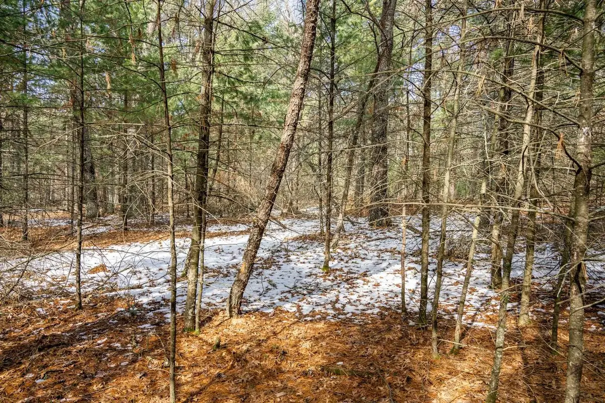 Lot 38 S Badger Lane, Arkdale, WI 54613 - #1