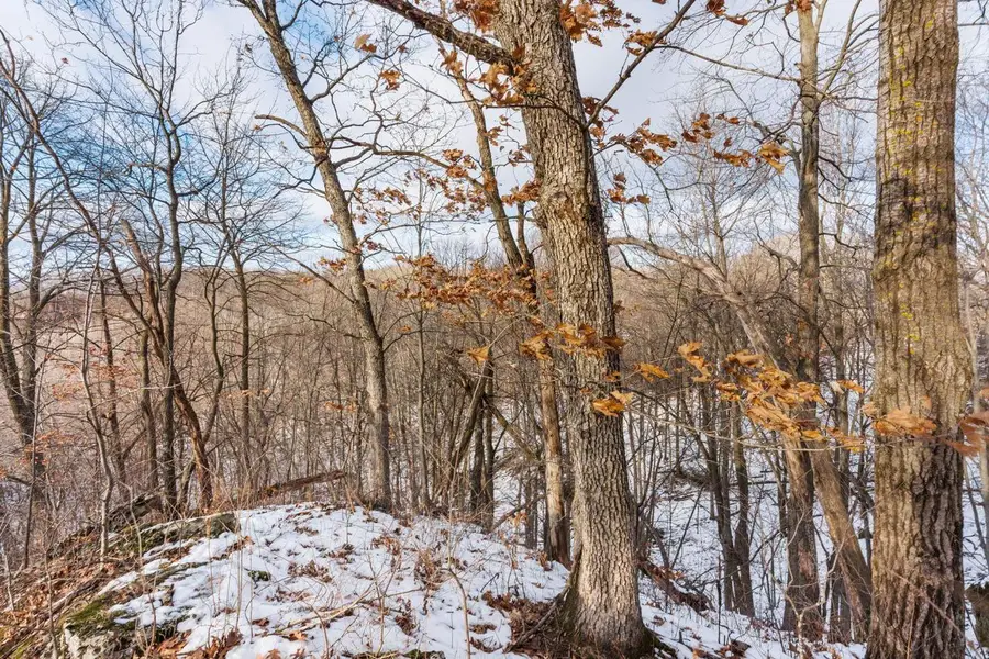 0000 bennett Lane, Richland Center, WI 53581 - #3