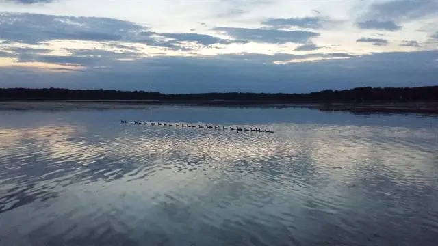 4378 S Jordan Drive #4, McFarland, WI 53558 - #2