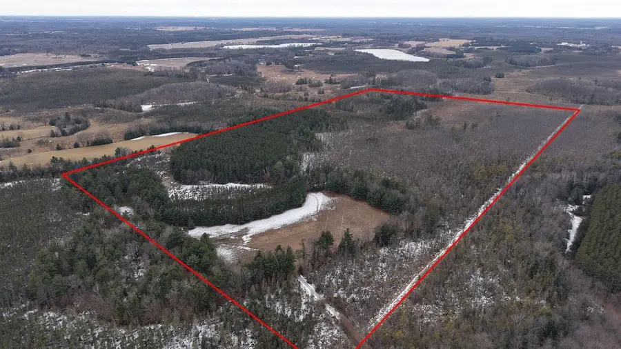 80 AC King Lane Acres, Rosholt, WI 54473 - #3