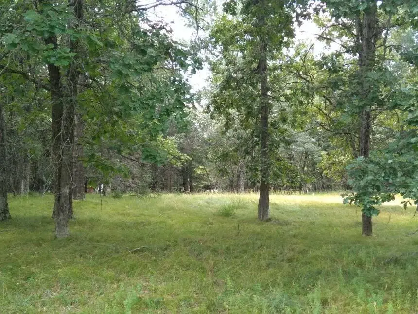 1026 Long Bow Court, Nekoosa, WI 54457 - #2