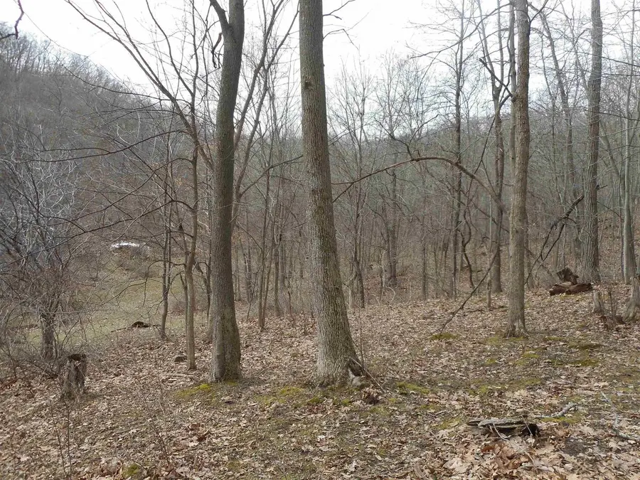 24503 Livingston Road, Wilton, WI 54670 - #3