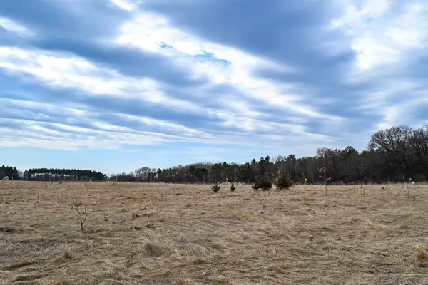 4th Avenue, Coloma, WI 54930