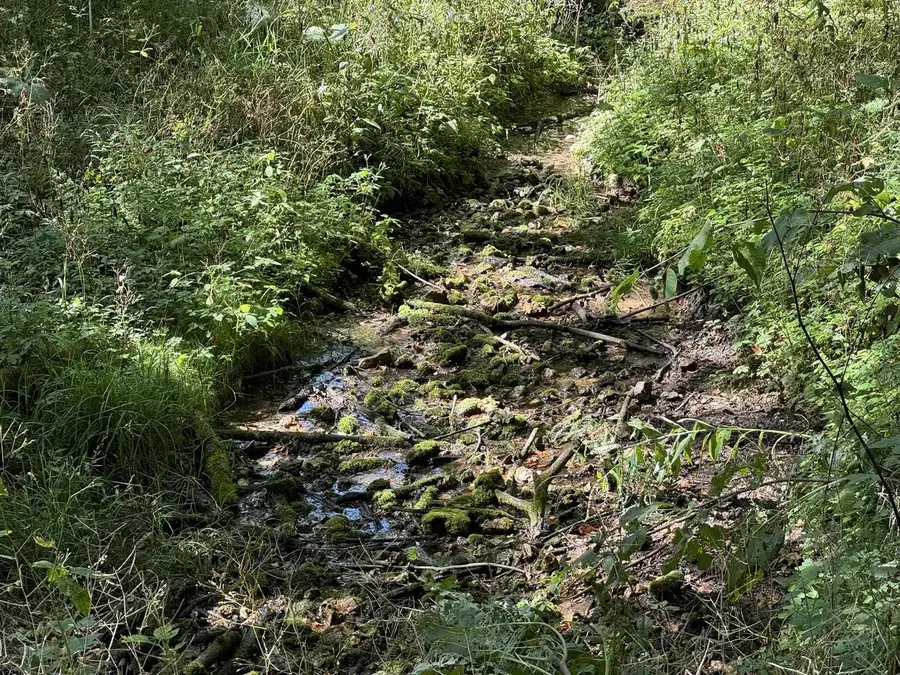 Lot 10 Murphy Road, Mineral Point, WI 53565 - #3