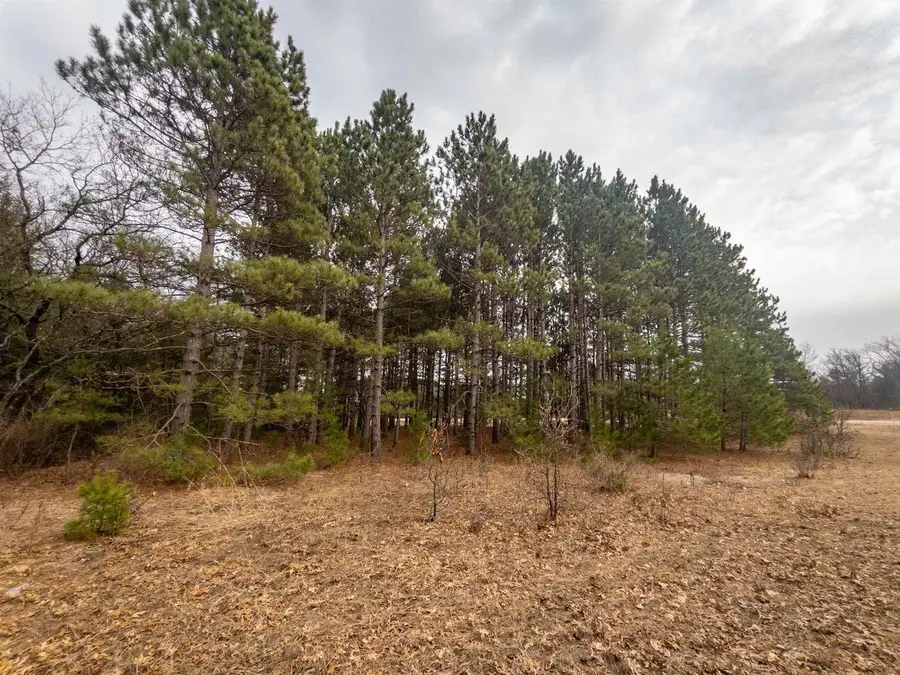 2ac Cree Road, Coloma, WI 54930 - #2