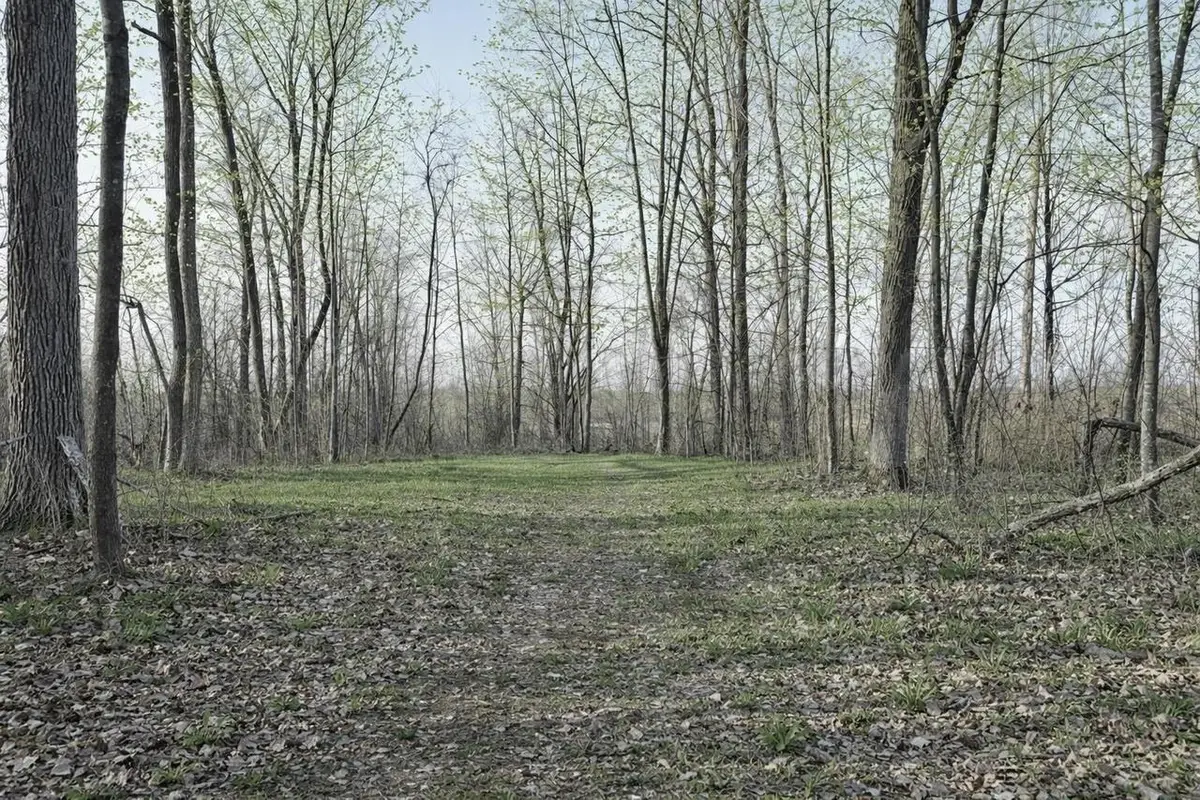 LOT 2 13 1/2 Avenue, Barron, WI 54812 - #1