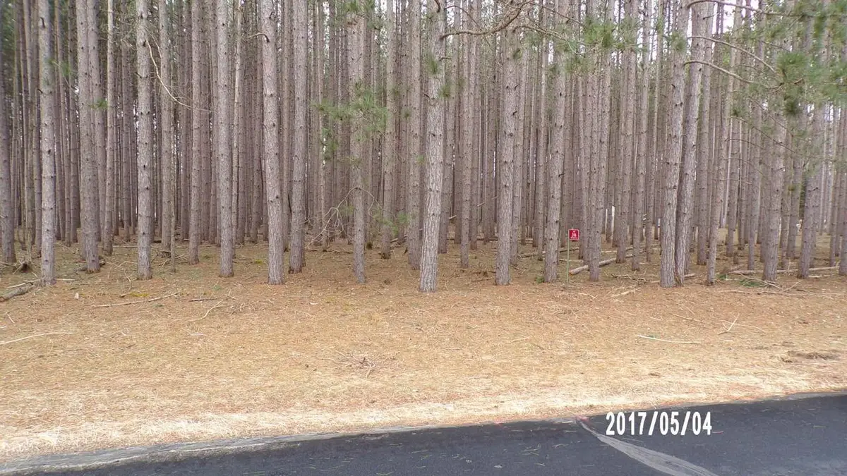 246 Winchester Road, Nekoosa, WI 54457 - #1