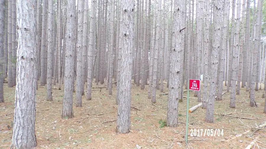 246 Winchester Road, Nekoosa, WI 54457 - #3