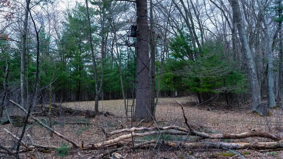 Lot 4 +/- 111Ac Dover Drive, Adams, WI 53910 - #2