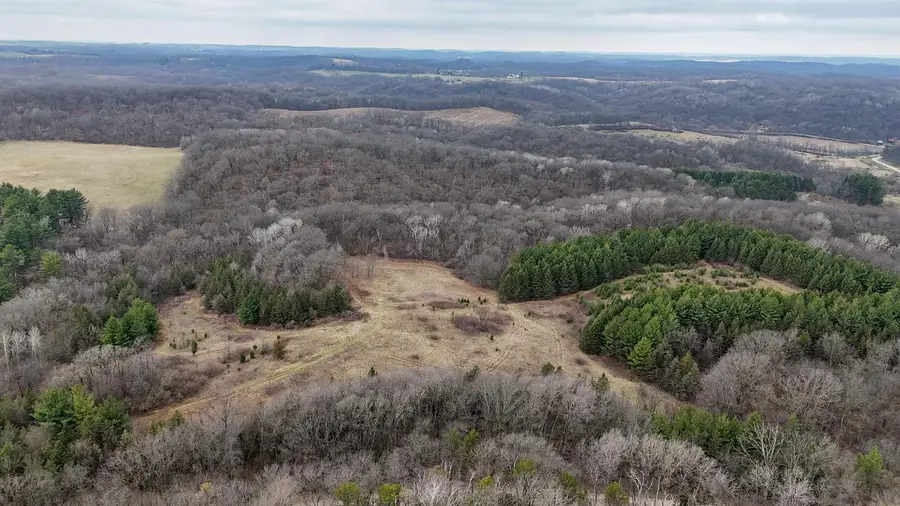 +/-80ac Knobs Road, Wyoming, WI 53588 - #3