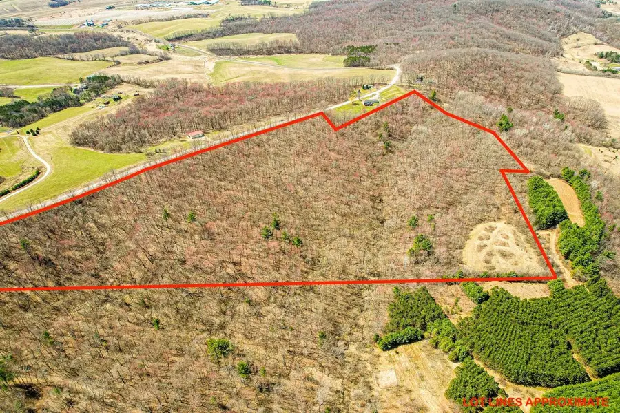 0 LOVERS Lane, Elroy, WI 53929 - #3