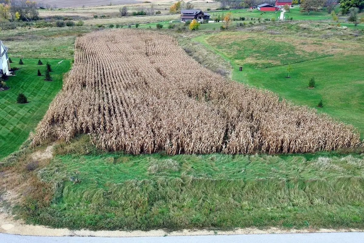 L11 Prairie Circle, Verona, WI 53593 - #1