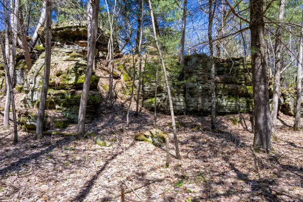 30.73 ac County Road B, Grand Marsh, WI 53936