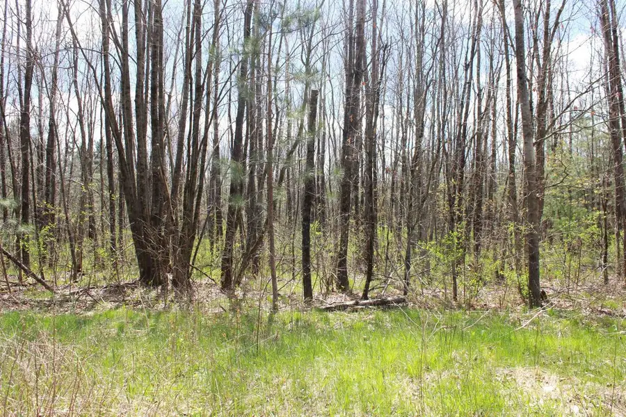 52 acres Hwy 13 CSM 5760, Friendship, WI 53934 - #3