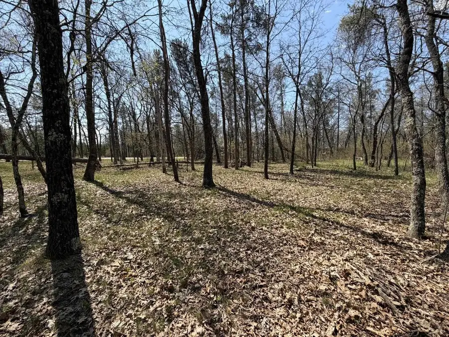 1502 Locust Trail, Nekoosa, WI 54457 - #3