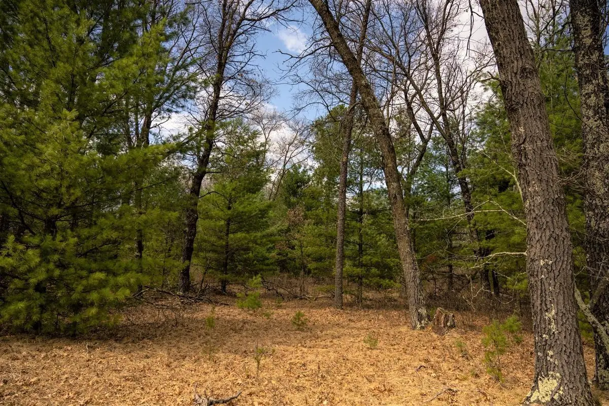 Lot 188 18th Lane, Friendship, WI 53934 - #1