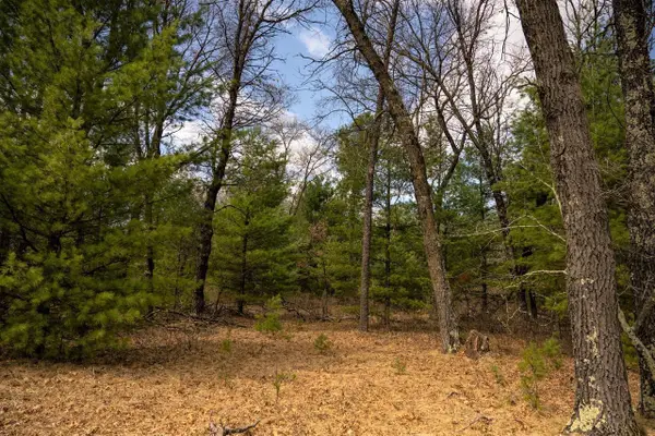 Lot 188 18th Lane, Friendship, WI 53934