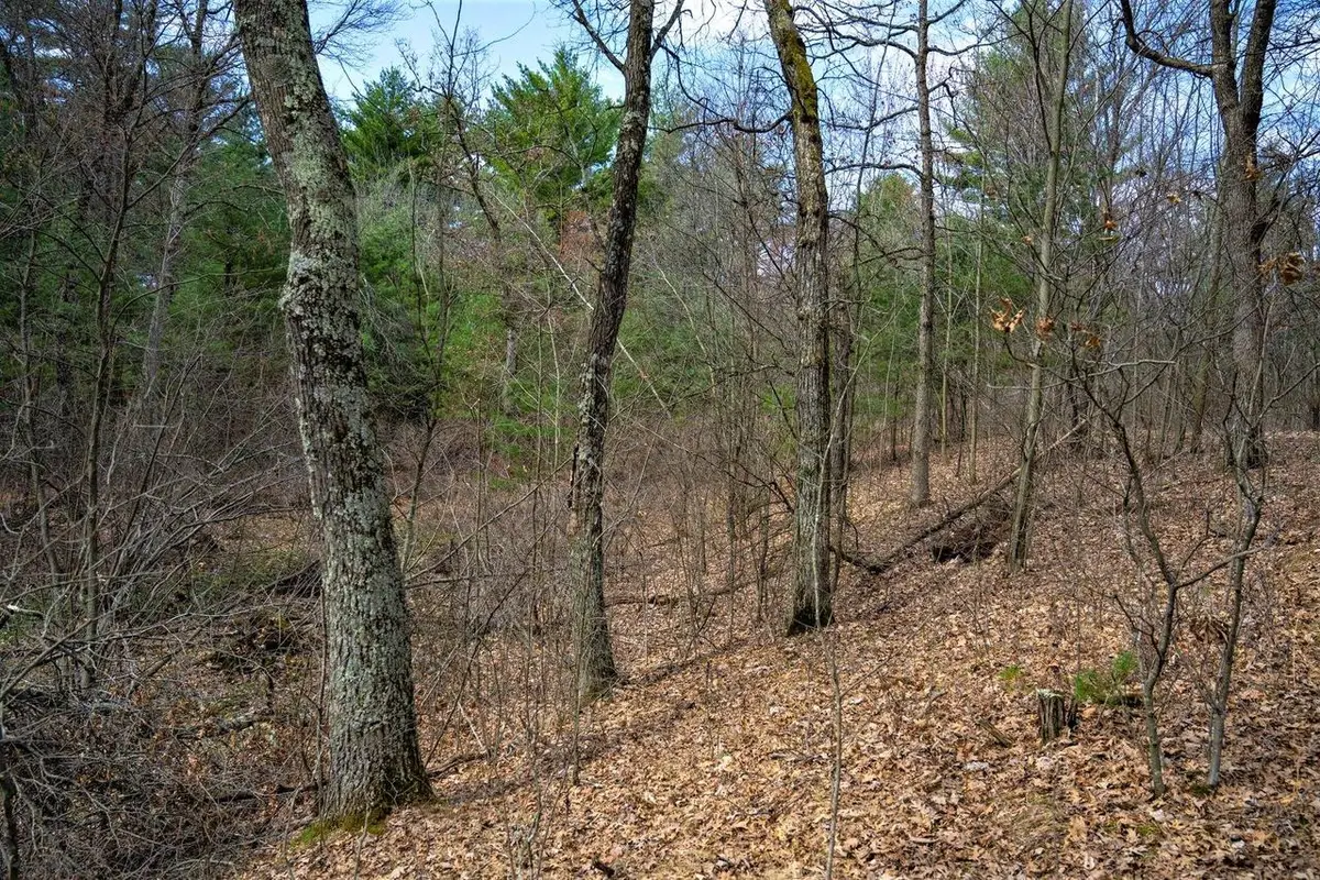 Lot 254 Dakota Junction, Friendship, WI 53934 - #1