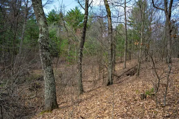 Lot 254 Dakota Junction, Friendship, WI 53934