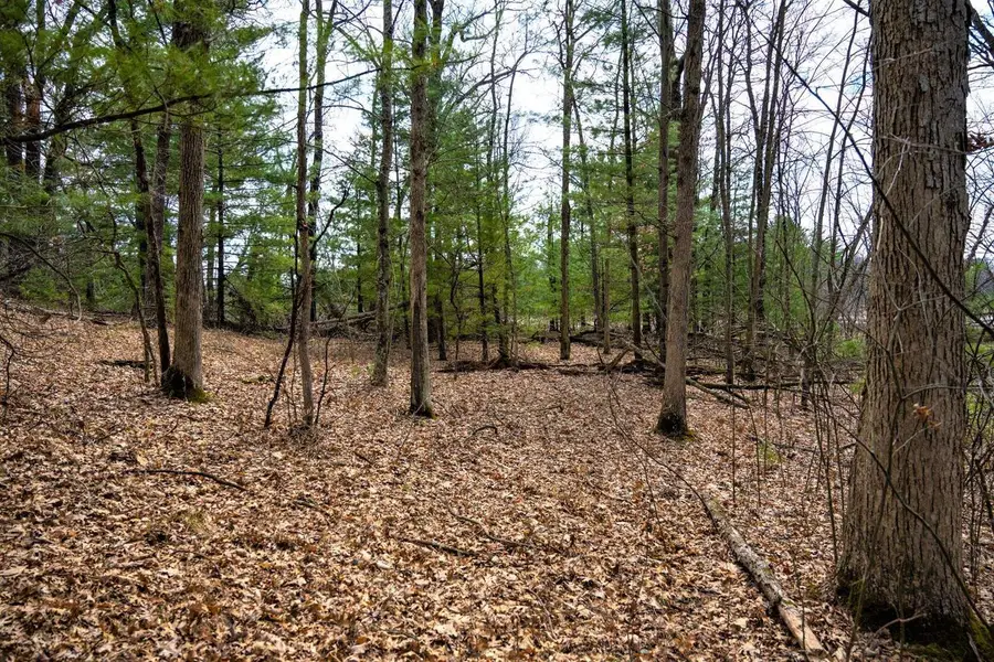 Lot 254 Dakota Junction, Friendship, WI 53934 - #2