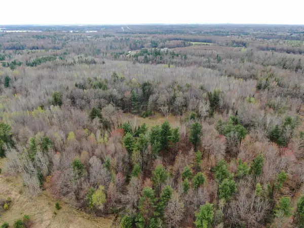 120 AC Oakwood Dr Acres, Mosinee, WI 54455