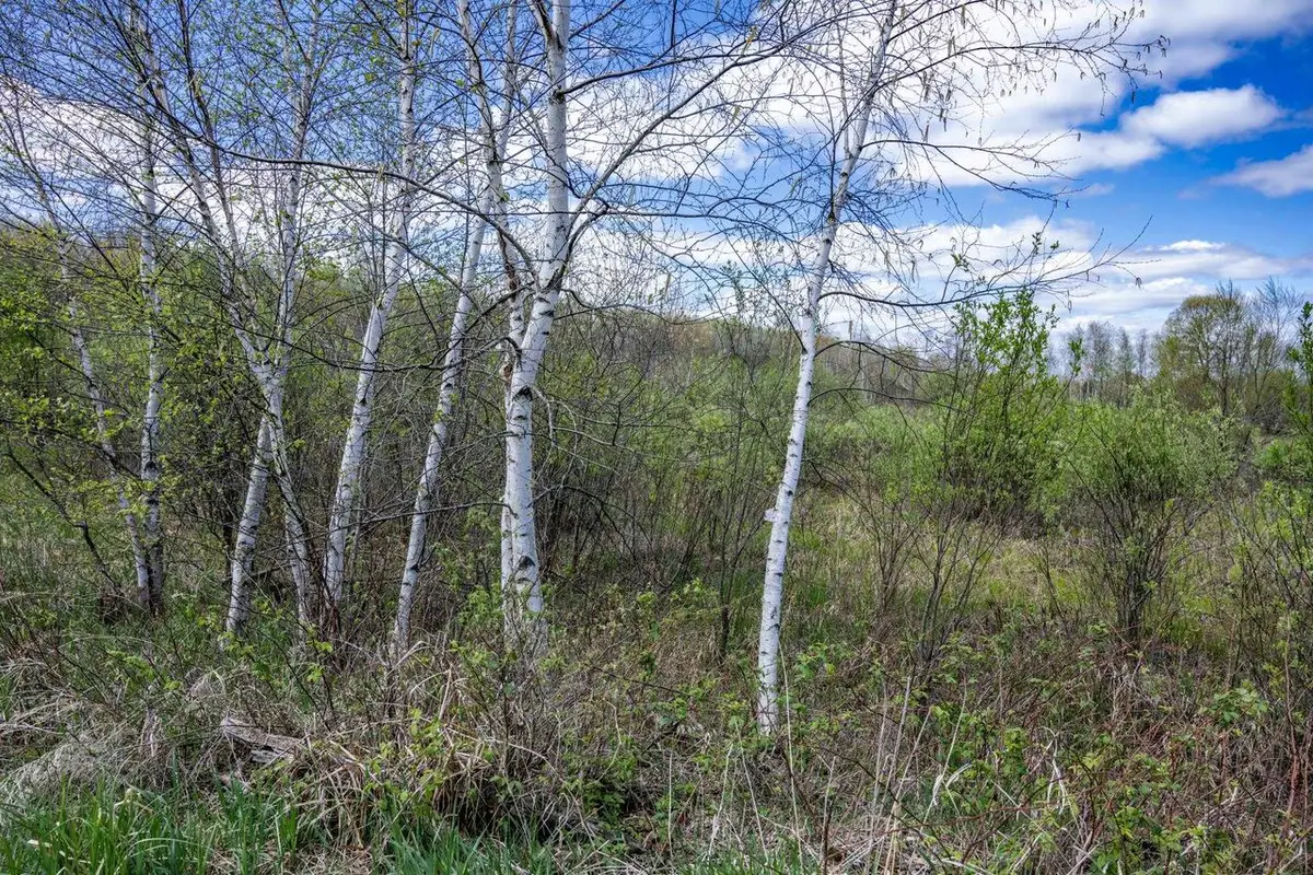 70 acres 22nd Street, Necedah, WI 54646 - #1
