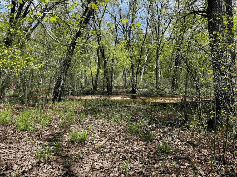 30 acres 6th Avenue, New Lisbon, WI 53950 - #3