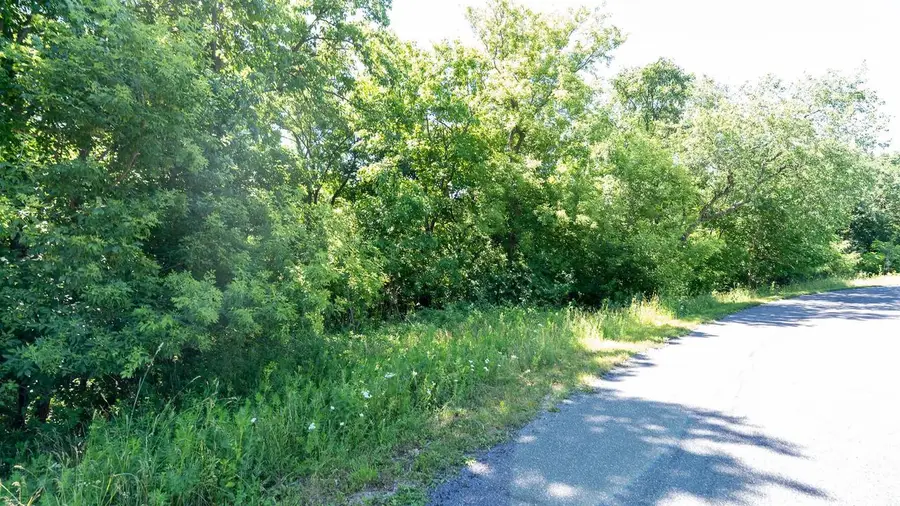 Lt14 BLUE HERON, Whitewater, WI 53190 - #3