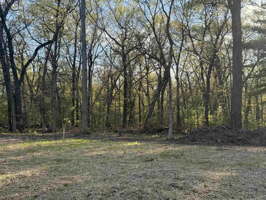 Lots 3&4 Arbor Lake N Street, Lyndon Station, WI 53944 - #3