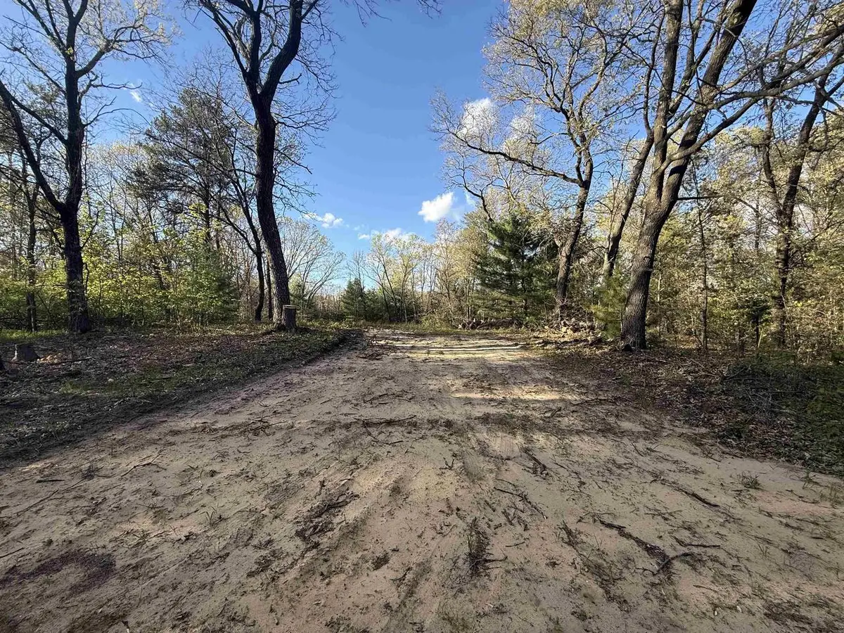 W1336 Arbor Lake N Drive, Lyndon Station, WI 53944 - #1
