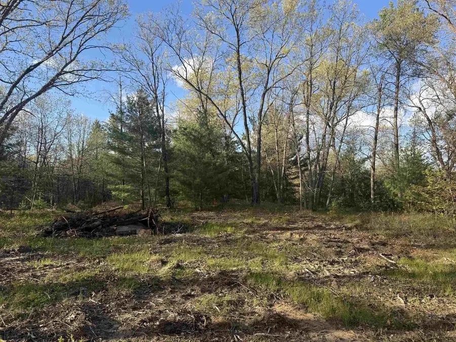 W1336 Arbor Lake N Drive, Lyndon Station, WI 53944 - #2