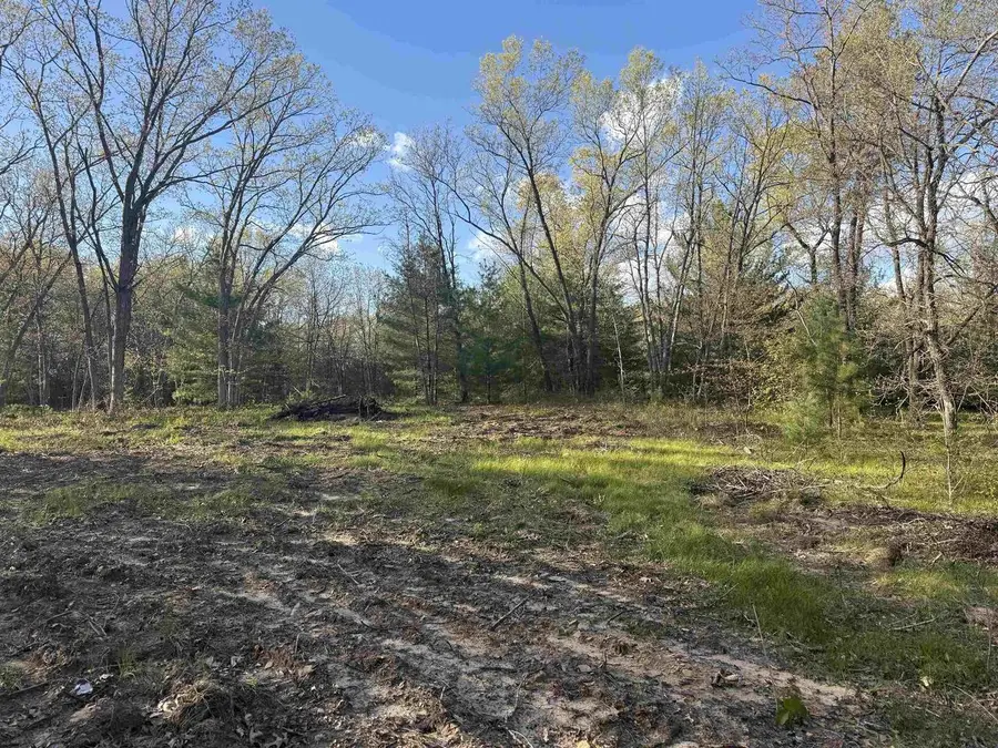 W1336 Arbor Lake N Drive, Lyndon Station, WI 53944 - #3