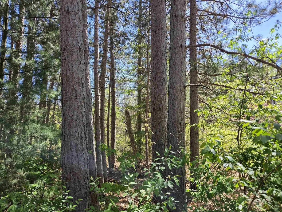 Lot 204 Raven Drive, New Lisbon, WI 53950 - #1
