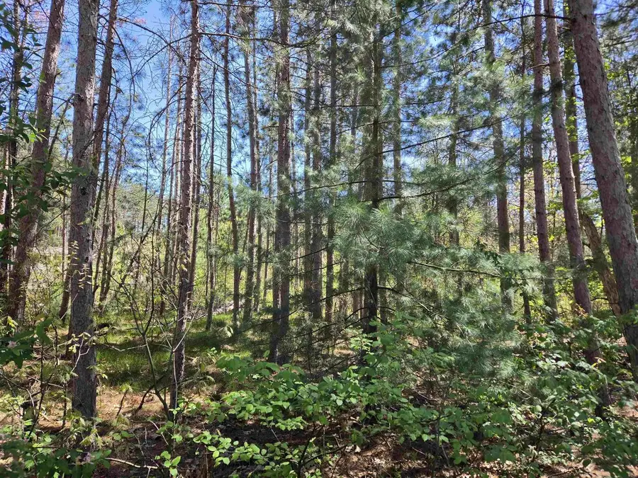 Lot 204 Raven Drive, New Lisbon, WI 53950 - #2