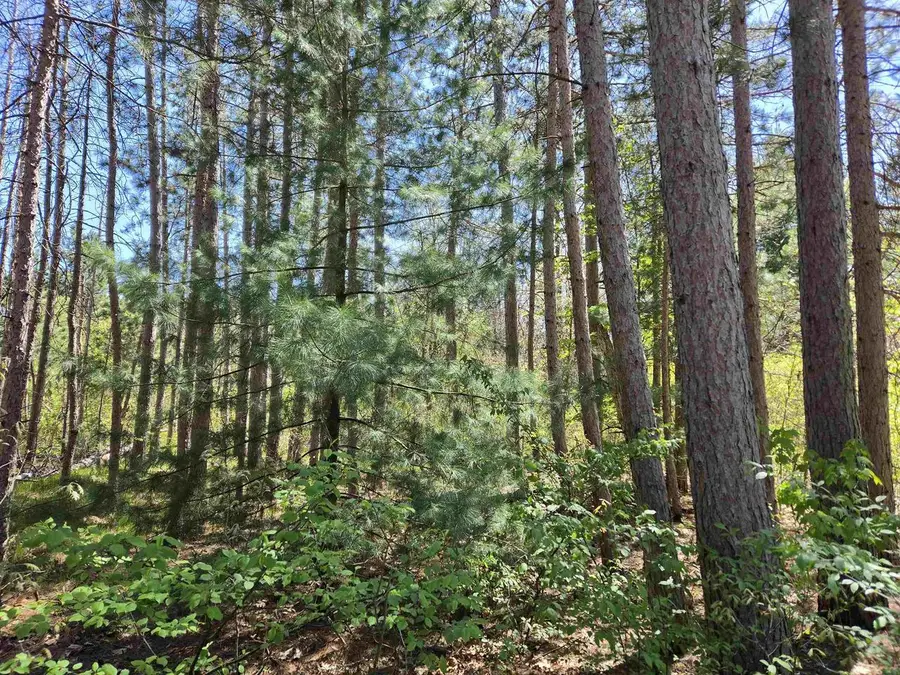 Lot 204 Raven Drive, New Lisbon, WI 53950 - #3