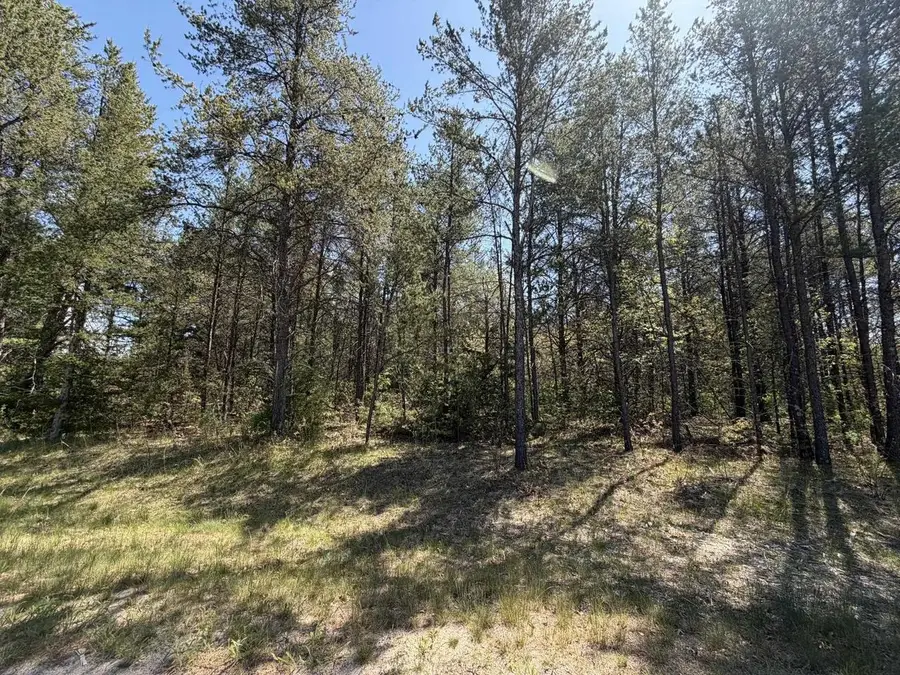 1.52 Acres Queens Way, Necedah, WI 54646 - #3