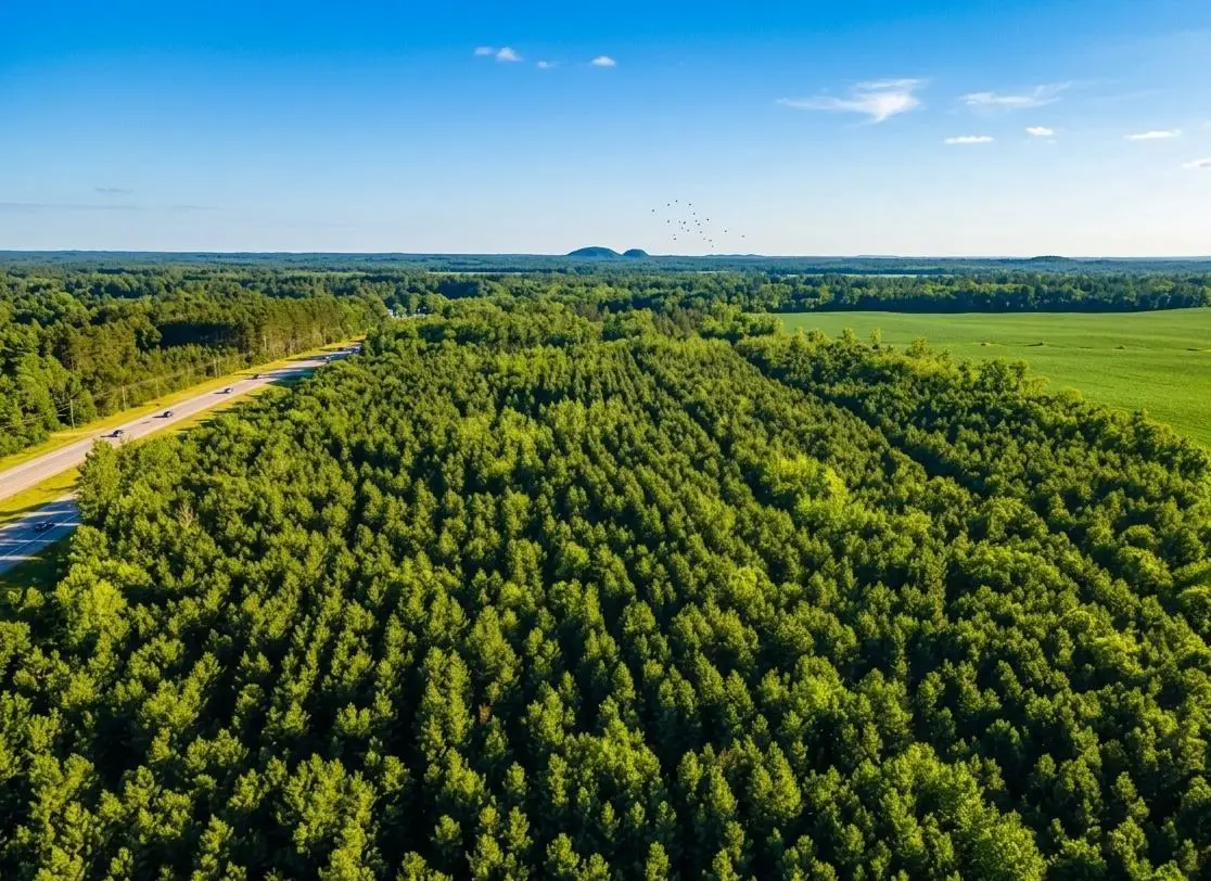 Lot 4 11th Drive, Friendship, WI 53934 - #1