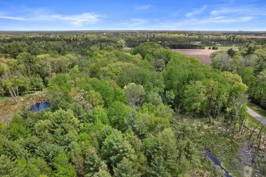 Lot 3 Chicago Avenue, Arkdale, WI 54613 - #3