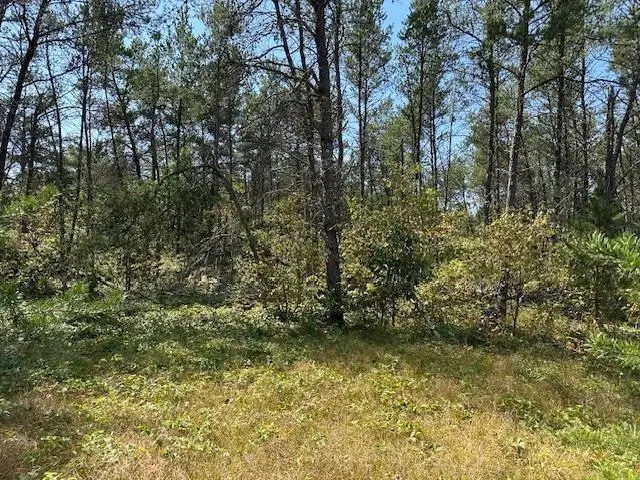36.34 Ac Retirement Lane, Necedah, WI 54646 - #2