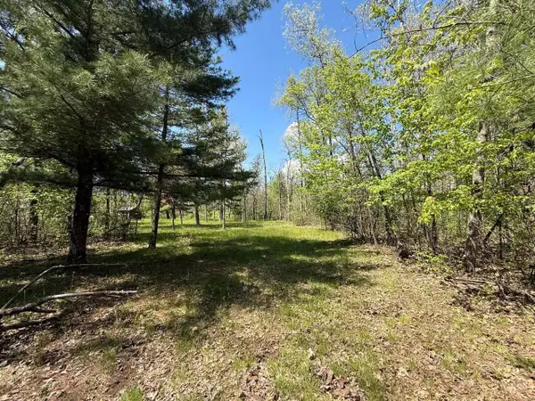 1310 S Cree Drive, Friendship, WI 53934